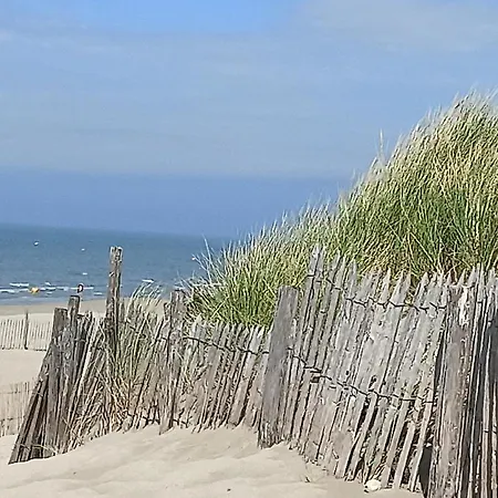 La Baie L’etoile, 4 Pers, Bord De Mer, Parking Privé, Mahon *